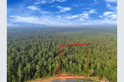 15365 Red Hawk Road, Willis, TX 77378 - Photo 2