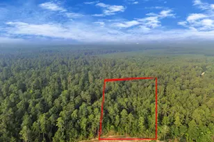 15365 Red Hawk Rd, Willis, TX 77378 - Photo 2