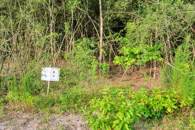 15365 Red Hawk Road, Willis, TX 77378 - Photo 16