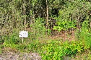 15365 Red Hawk Rd, Willis, TX 77378 - Photo 16