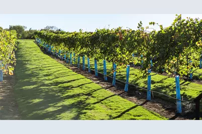 14603 Cedar Elm Court, Willis, TX 77318 - Photo 6