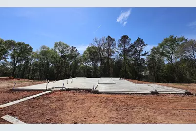 117 Roebuck Lane, New Waverly, TX 77358 - Photo 2