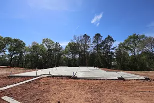 117 Roebuck Ln, New Waverly, TX 77358 - Photo 2