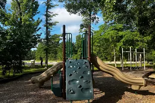 7738 Dog Wood Acres Dr, Montgomery, TX 77316 - Photo 28