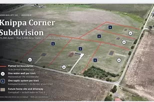 365 County Road 305, Knippa, TX 78801 - Photo 2