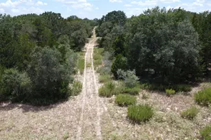 Tbd County Road 119/Pvt1024 Cr 1024, Hallettsville, TX 77964 - Photo 1