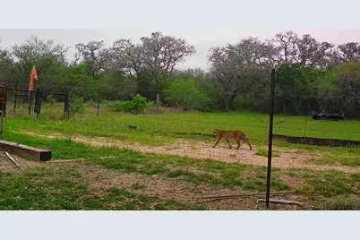 10423 State Highway 21 W, Crockett, TX 75835 - Photo 2