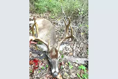 1306 County Road 3455A, Lovelady, TX 75851 - Photo 34