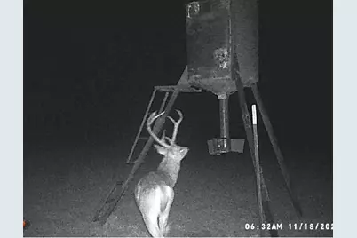 1306 County Road 3455A, Lovelady, TX 75851 - Photo 14