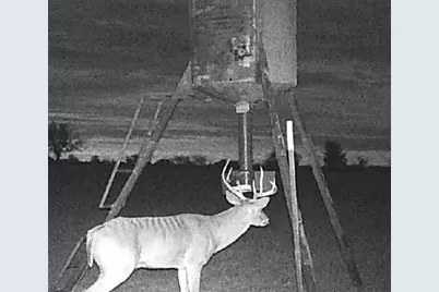 1306 County Road 3455A, Lovelady, TX 75851 - Photo 8