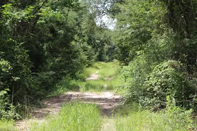 1306 County Road 3455A, Lovelady, TX 75851 - Photo 2