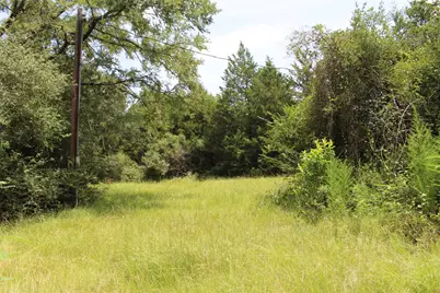 1306 County Road 3455A, Lovelady, TX 75851 - Photo 28