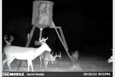 1306 County Road 3455A, Lovelady, TX 75851 - Photo 20