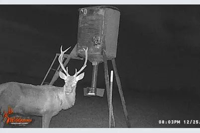 1306 County Road 3455A, Lovelady, TX 75851 - Photo 16