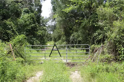 1306 County Road 3455A, Lovelady, TX 75851 - Photo 1