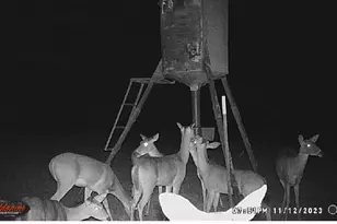 1306 County Rd 3455A, Lovelady, TX 75851 - Photo 1