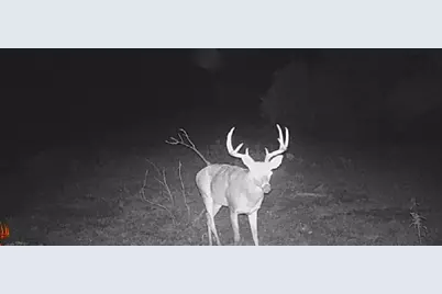 1306 County Road 3455A, Lovelady, TX 75851 - Photo 12