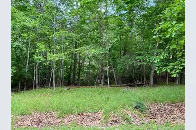 10 Castaway Lane, Coldspring, TX 77331 - Photo 2