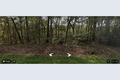Tbd Smith Street, Coldspring, TX 77331 - Photo 2