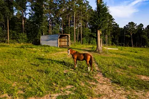 692 Rolling Pnes Dr, Livingston, TX 77351 - Photo 40