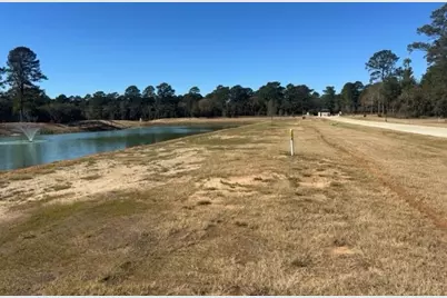 213 Hidden Oak Drive, Hockley, TX 77447 - Photo 2