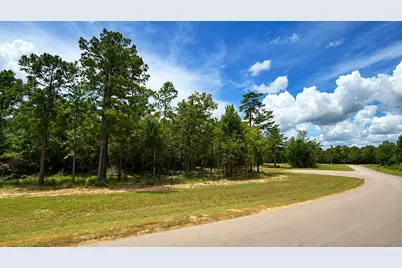 7625 Trinity Pines Dr, Montgomery, TX 77316 - Photo 2