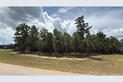 7625 Trinity Pines Dr, Montgomery, TX 77316 - Photo 4