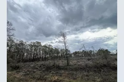 2 County Road 3038, Newton, TX 75966 - Photo 6