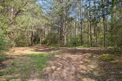 15946 Fm 1094, Cat Spring, TX 78933 - Photo 44