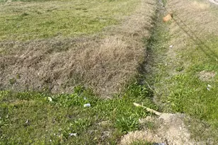 10130 Ricky St, Houston, TX 77033 - Photo 1