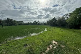 Tbd County Road 394, El Campo, TX 77437 - Photo 4