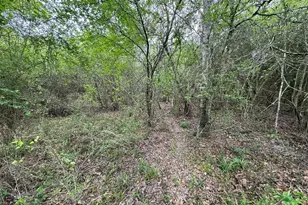 Tbd County Road 394, El Campo, TX 77437 - Photo 28