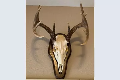 Tbd County Road 394, El Campo, TX 77437 - Photo 40