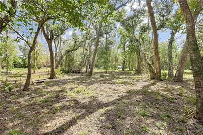 6306 County Road 244, Brazoria, TX 77422 - Photo 16