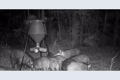 00 Fm 946, Oakhurst, TX 77359 - Photo 14