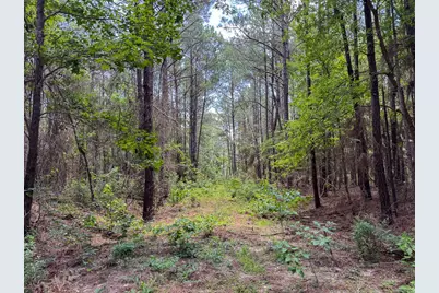 00 Fm 946, Oakhurst, TX 77359 - Photo 8