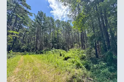 00 Fm 946, Oakhurst, TX 77359 - Photo 6