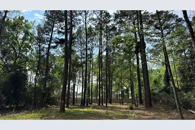 775 Huckleberry Circle, Onalaska, TX 77360 - Photo 4