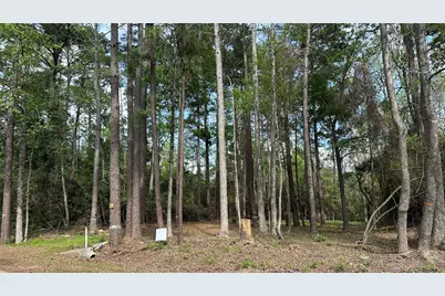 775 Huckleberry Circle, Onalaska, TX 77360 - Photo 2