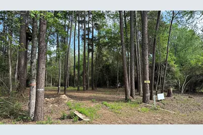 775 Huckleberry Circle, Onalaska, TX 77360 - Photo 1