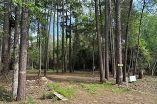 775 Huckleberry Circle, Onalaska, TX 77360 - Photo 1