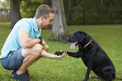 4712 Barkley Cove Drive, Texas City, TX 77591 - Photo 8