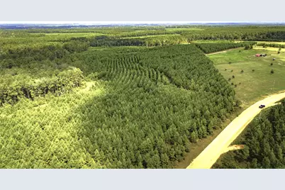 Tbd Stutts Hill, Livingston, TX 77351 - Photo 2