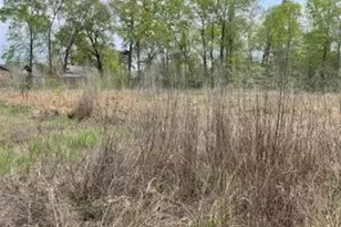 17135 Sprawling Oaks, Conroe, TX 77385 - Photo 2