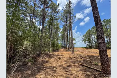 7 Benny Griffin Road, Livingston, TX 77351 - Photo 24