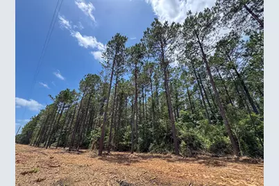 7 Benny Griffin Road, Livingston, TX 77351 - Photo 18