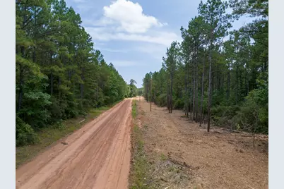 7 Benny Griffin Road, Livingston, TX 77351 - Photo 8