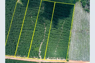 7 Benny Griffin Road, Livingston, TX 77351 - Photo 4