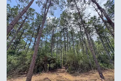 7 Benny Griffin Road, Livingston, TX 77351 - Photo 20