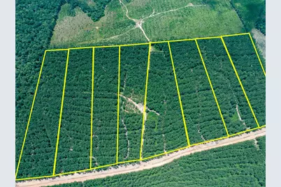 7 Benny Griffin Road, Livingston, TX 77351 - Photo 2